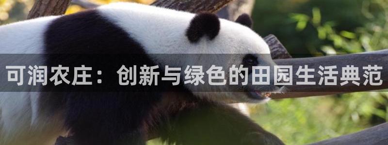 必一体育下载登入