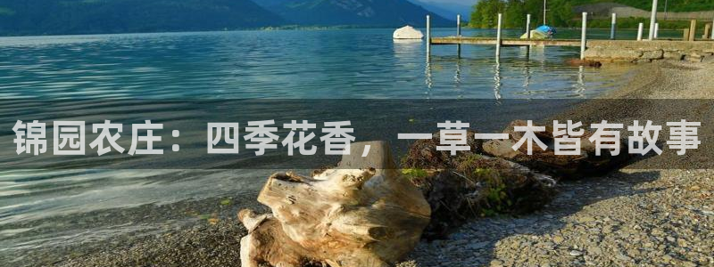 必一体育app下载安装