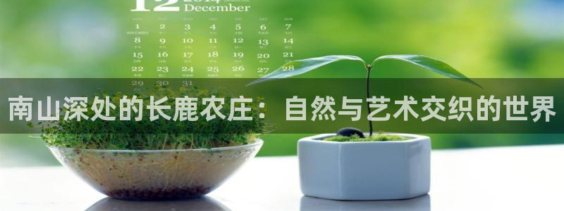 必一体育运动官网