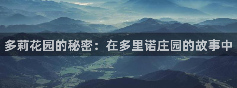 b体育官网下载入口app必一