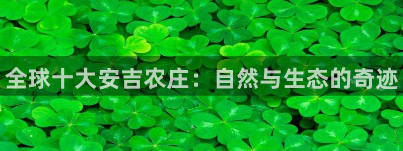 必一体育在线下载