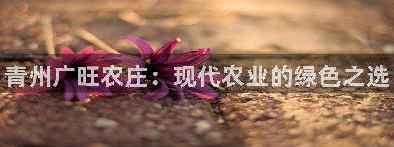 必一体育官网ios下载