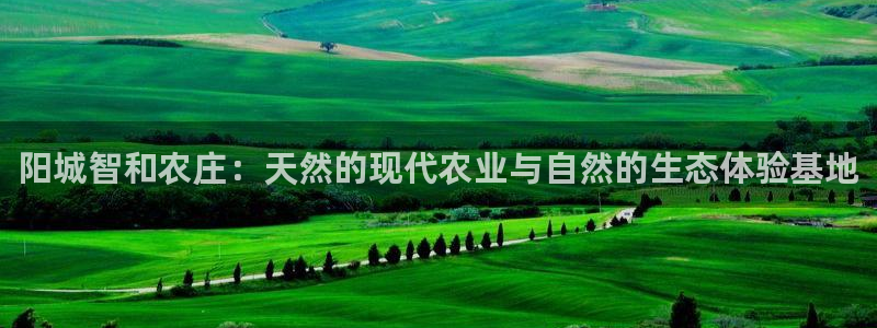 必一运动官网平台