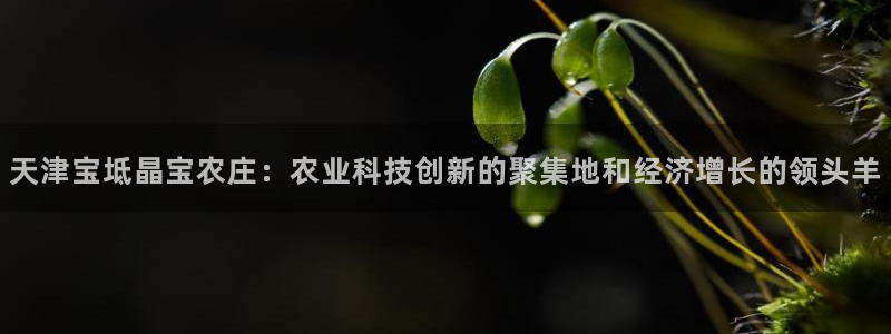 必一体育网页登陆