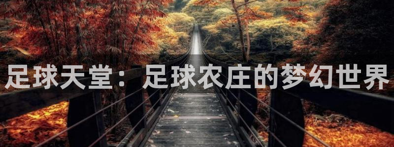 必一体育app下载最新版本苹果