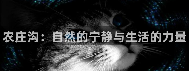 必一体育运动app下载