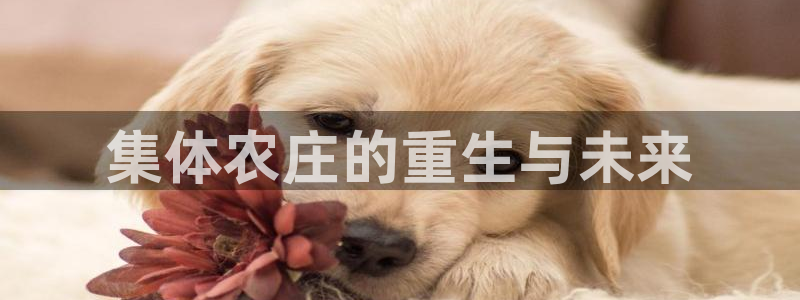 必一运动官网登录入口