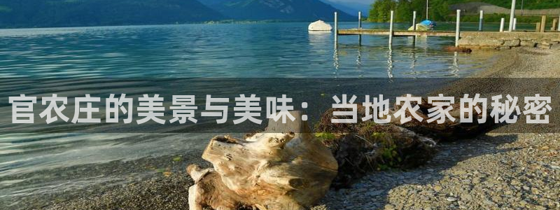 必一体育在线登录