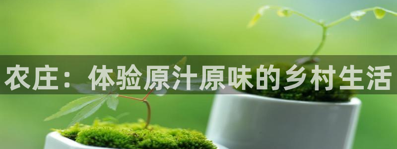 必一体育是哪里的台子