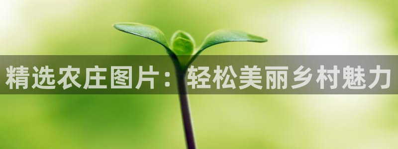 必一体育手机下载