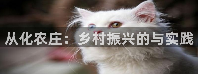 b体育必一运动网页版在线登录入口