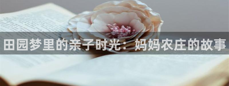 Bsport体育app必一