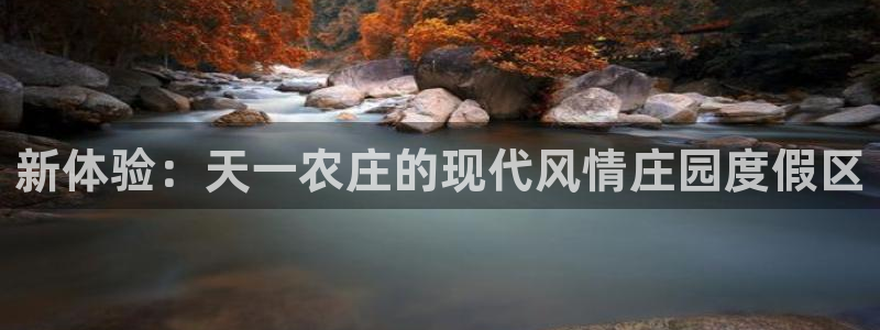 必一体育在哪下