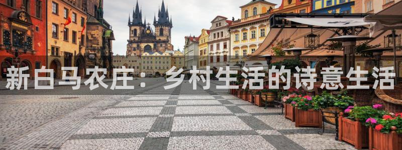 必一体育网页版登录