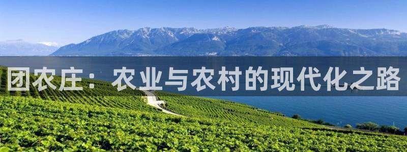 必一运动体育官网