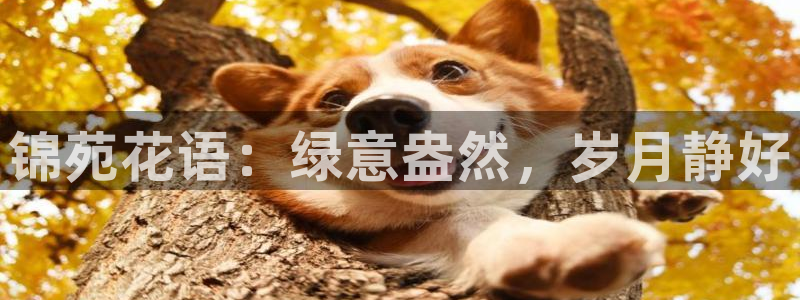 必一体育运动下载