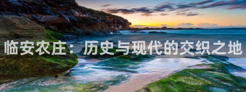 必一体育官网入口