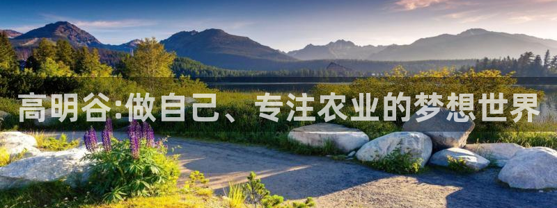 必一体育下载义