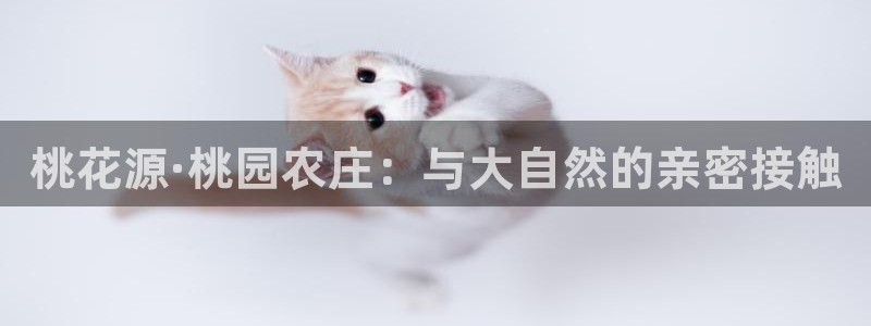 必一体育游戏玩法