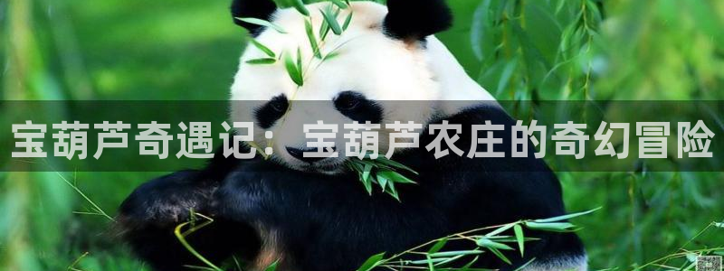 必一体育全站在线登录入口