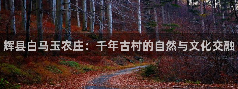 必一体育黑平台