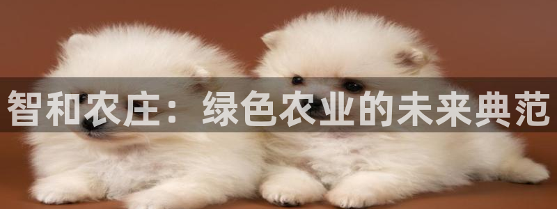 必一体育登录APP下载