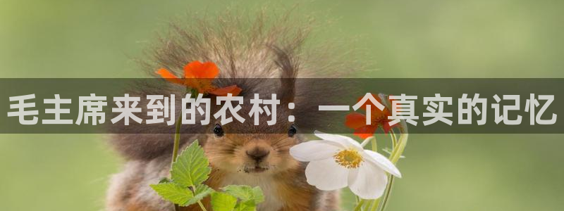 必一体育app官方下载入口