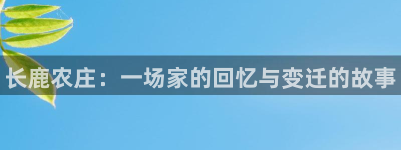 必一体育运动平台官网