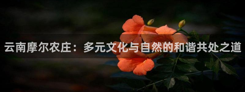 必一体育bsport下载