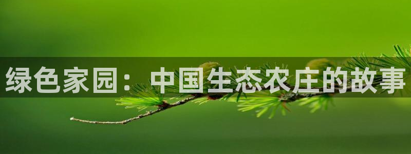 必一体育sportB体育