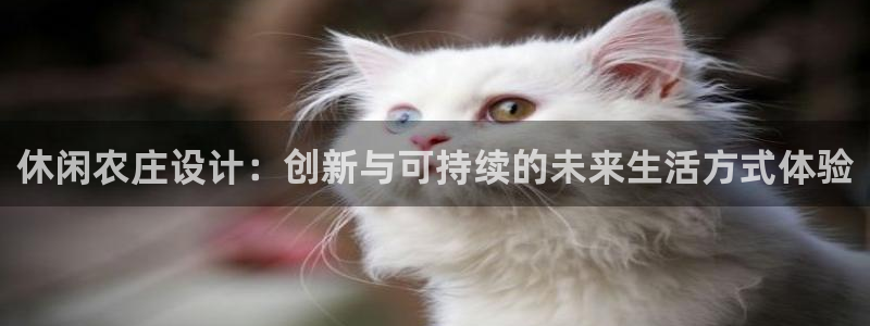 必一体育运动app下载