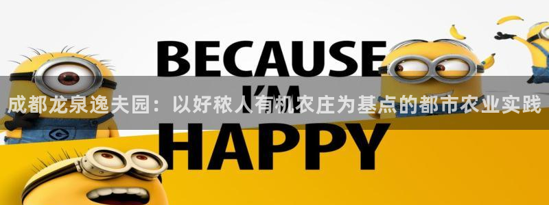 必一体育在哪下