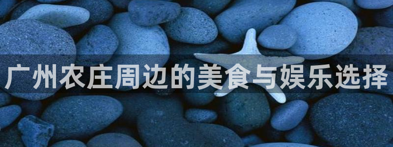 必一体育app官方网站