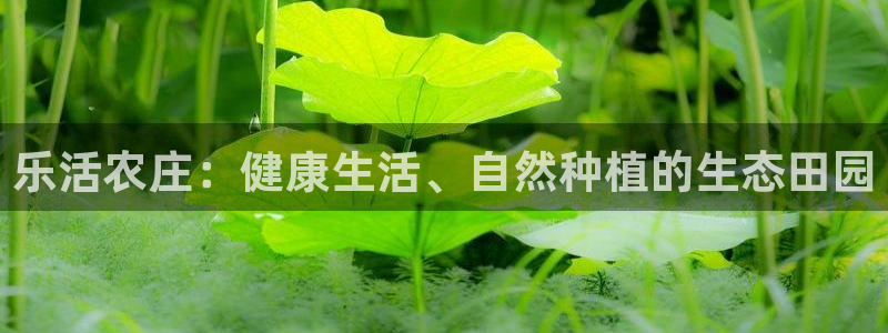 必一运动·(B-Sports)