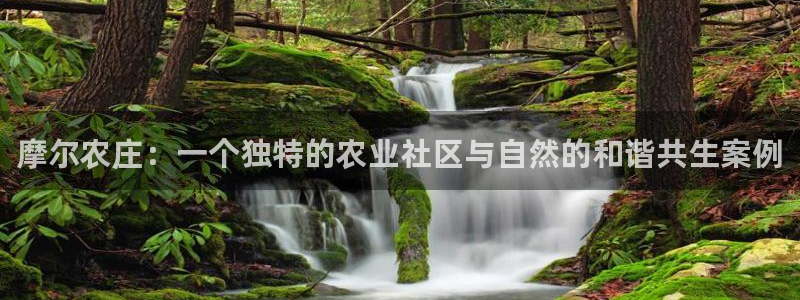 必一运动·(B-Sports)