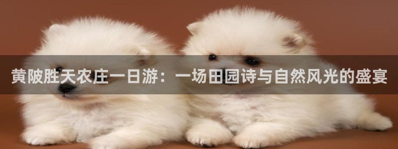 必一体育电子app