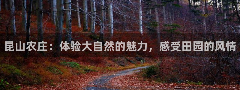 必一体育sport官网