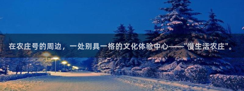 Bsport体育app必一