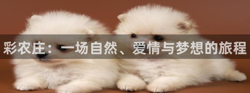 Bsport体育app必一