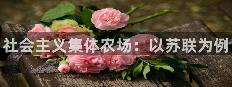 必一体育最新官网入口首页