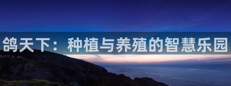 Bsport体育app必一