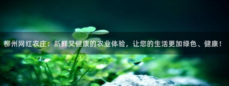 必一体育合法吗