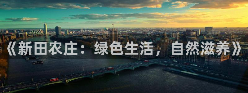 必一体育验证码