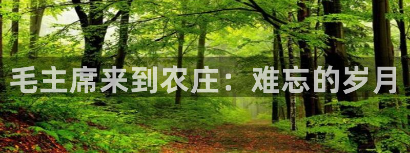 必一体育游戏特色