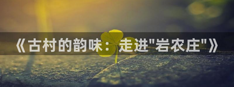 必一体育秀给网