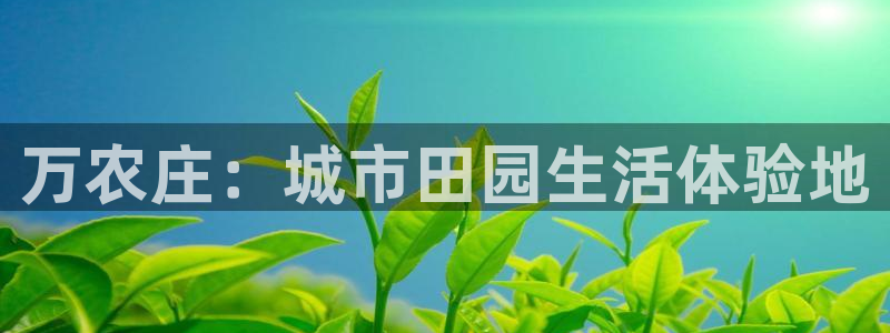 必一体育运动下载