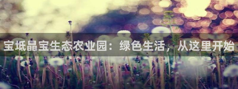 必一体育运动平台官网