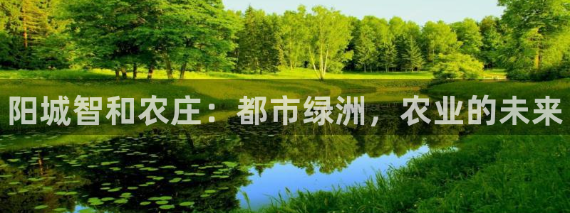 必一体育运动平台官网