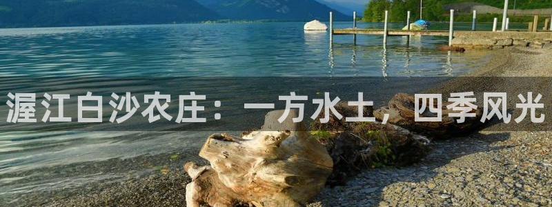 必一体育在哪下