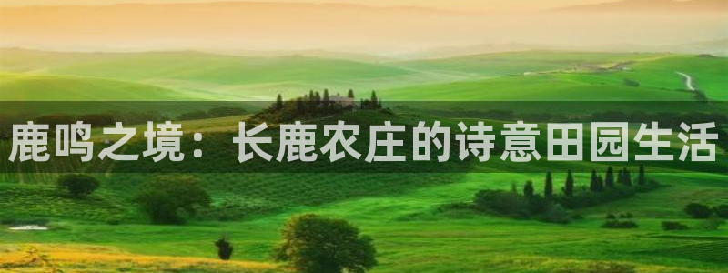 必一运动听的歌